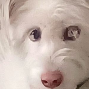 I do requests. Tell me what you are looking for...